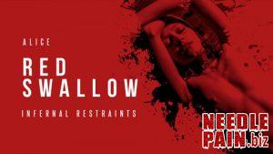 Red Swallow Part 1 – Alice – Feb 1, 2019 Infernalrestraints